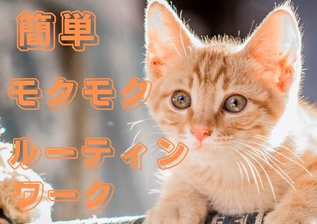 株式会社ヒューマンアイズの求人・転職情報