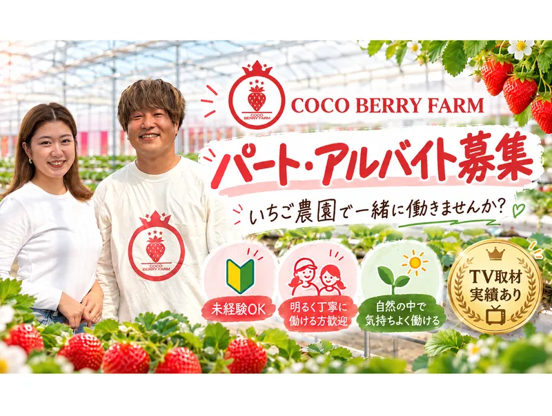 COCO　BERRY　FARMの派遣求人情報