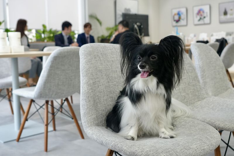 株式会社阿部養庵堂薬品　北千住オフィスのアルバイト・バイト求人情報-03