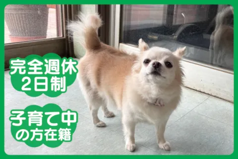 有限会社ミクリノの求人・転職情報