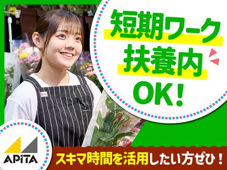 APITA(アピタ)　アピタ宇都宮店の派遣求人情報