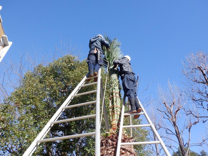 日吉緑化株式会社(置場集合後、主に八王子・立川・日野の現場へ向かいます。)の求人・転職情報-03