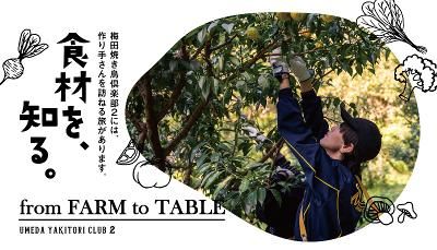 株式会社フード＆マーケティングの求人・転職情報