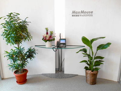 株式会社マックスマウス