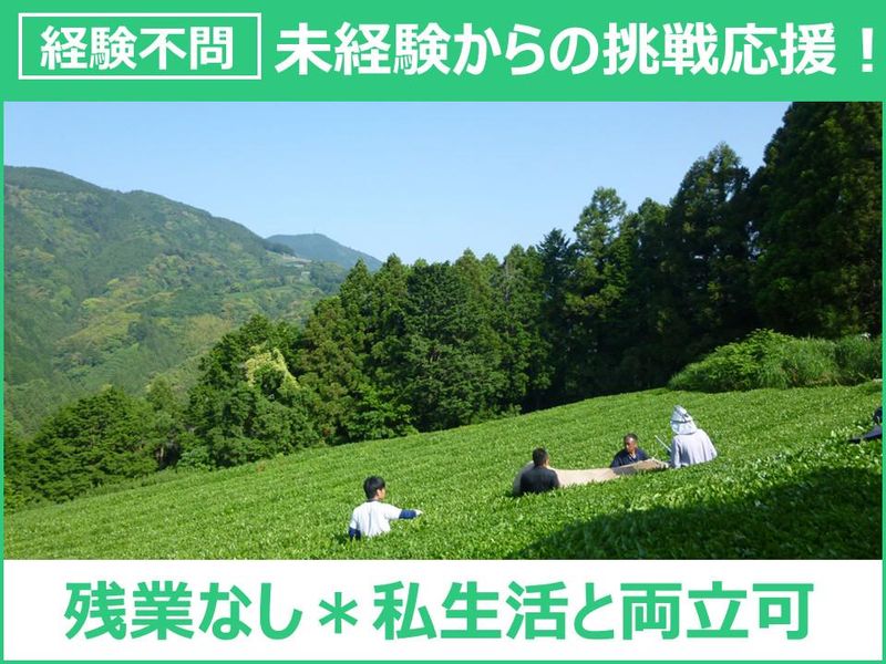 マルムラ製茶株式会社の求人・転職情報