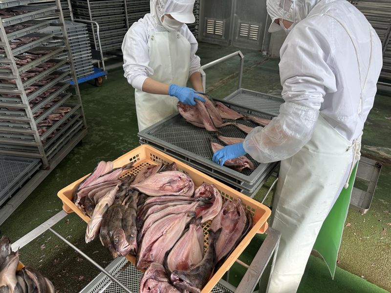 株式会社広松の求人・転職情報