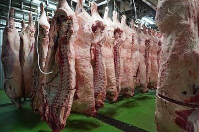 株式会社アグリス・ワン-0001の求人・転職情報