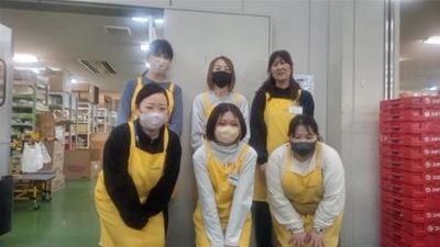 株式会社ロジメディカル 大阪第2営業所のアルバイト・バイト求人情報-02