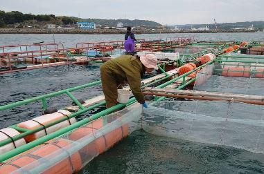 株式会社　中賢水産のアルバイト・バイト求人情報-02