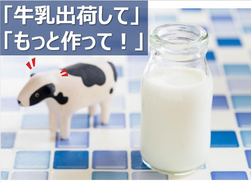 鴻池運輸株式会社の求人・転職情報