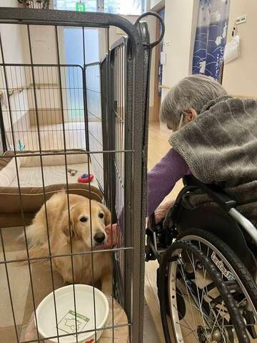 医療法人悠悠堂　サービス付き高齢者向け住宅雅の四季のアルバイト・バイト求人情報-02