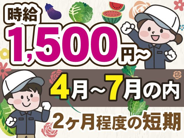株式会社農穣おく山のアルバイト・バイト求人情報-02