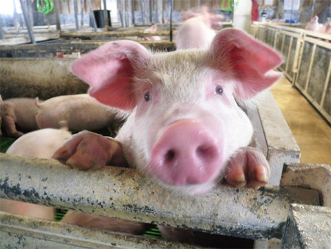 ホクレン農業協同組合連合会の求人・転職情報