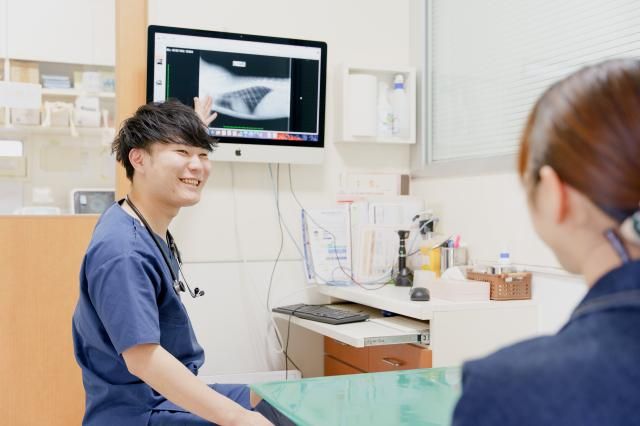 株式会社イオンペット-0017の求人・転職情報