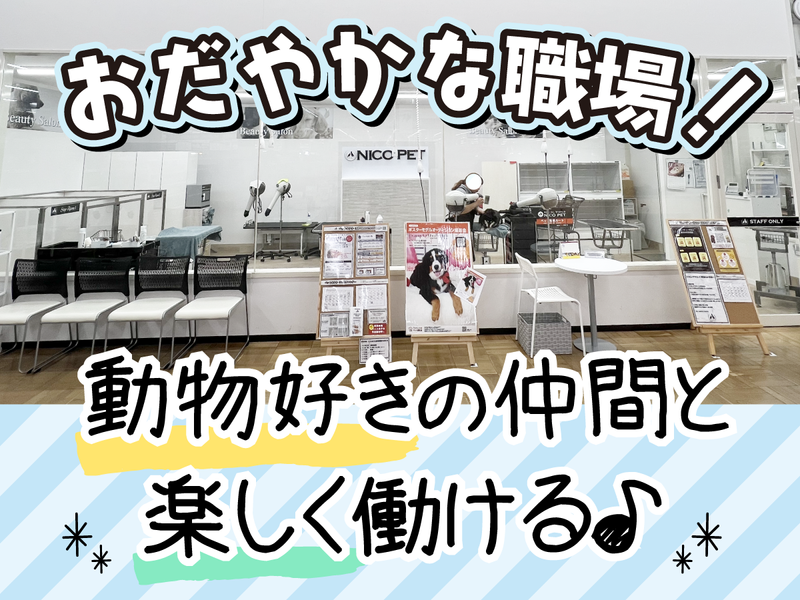 ニコペット春日部店のアルバイト・バイト求人情報-02