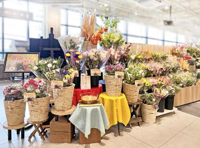 株式会社メルシーフラワーの求人・転職情報