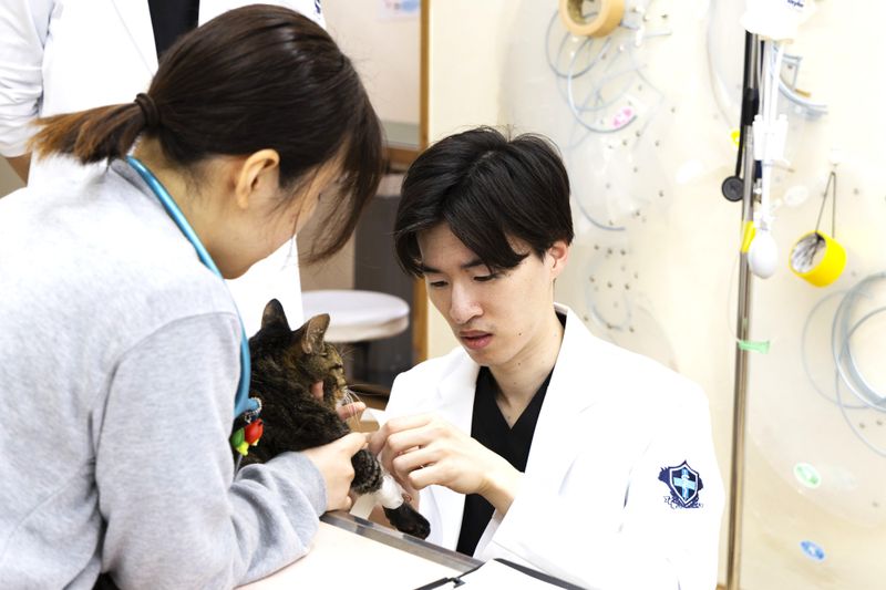 クロス動物医療センター藤沢のアルバイト・バイト求人情報-03