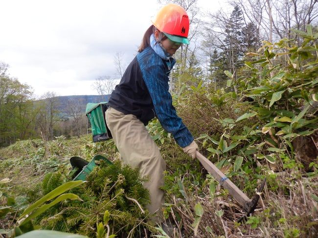 昭和木材株式会社の求人・転職情報