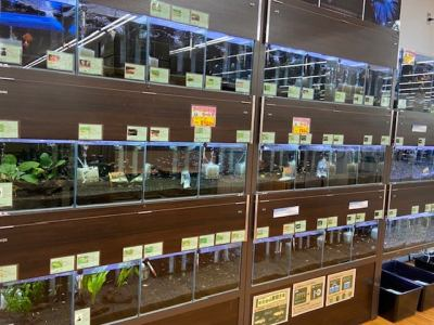 DCM南アルプス店 ペットコーナーの求人・転職情報