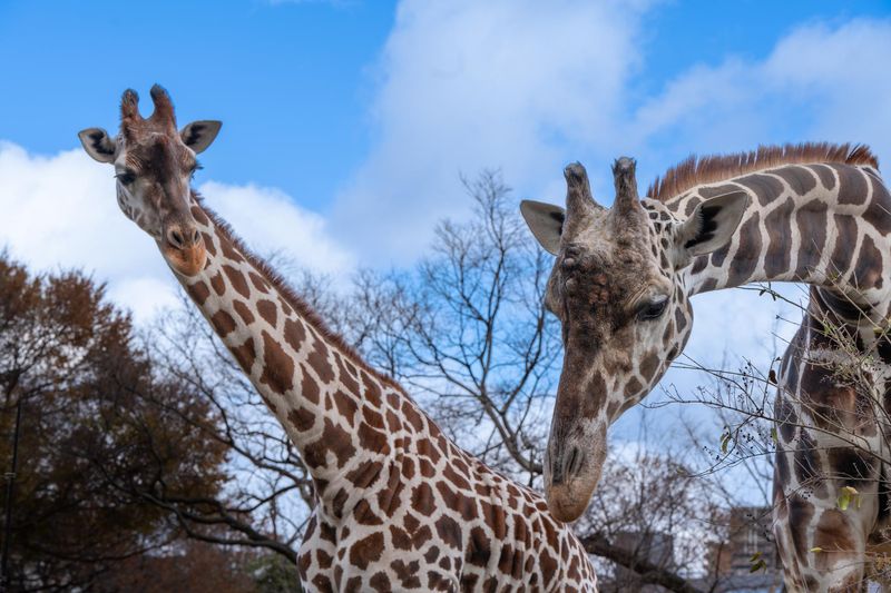 東山動植物園(請負先)のアルバイト・バイト求人情報-03