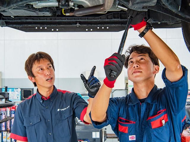 サガミシード株式会社-0015の求人・転職情報