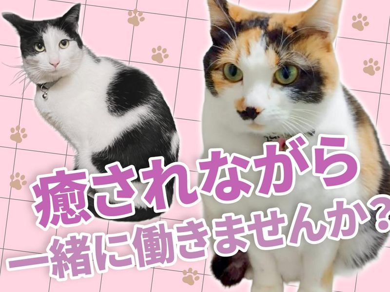 にゃおんJOSO(株式会社なか扇)のアルバイト・バイト求人情報-02