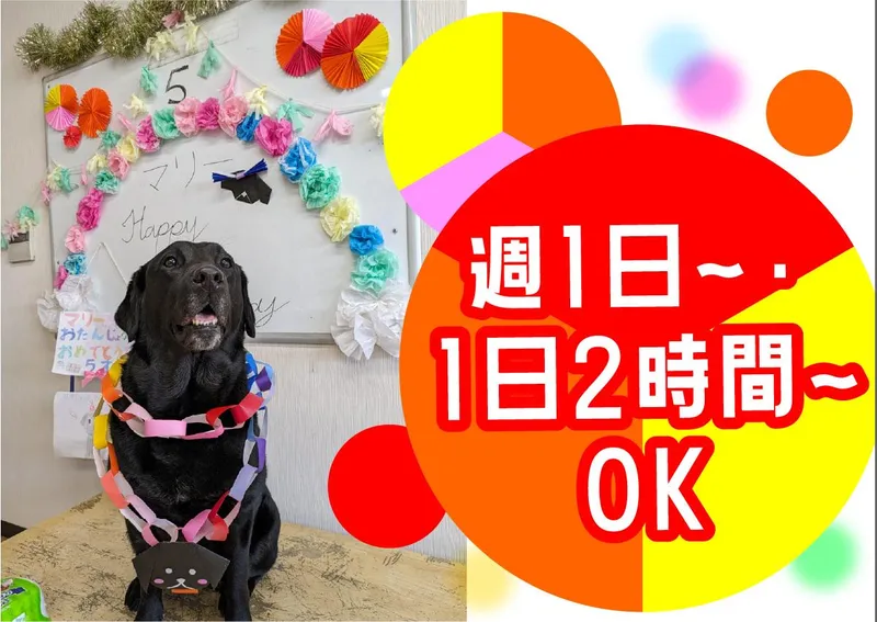 株式会社MIZUKAWA　グロース水川のアルバイト・バイト求人情報