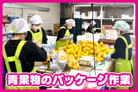 株式会社カネイチ青果物流のアルバイト・バイト求人情報