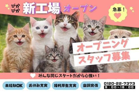 株式会社ヒューマンアイズの求人・転職情報