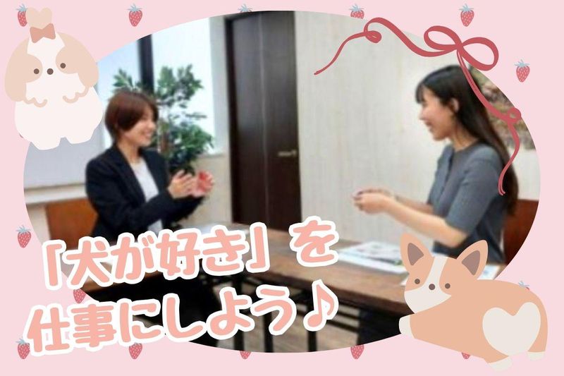 株式会社プレイボゥの求人・転職情報