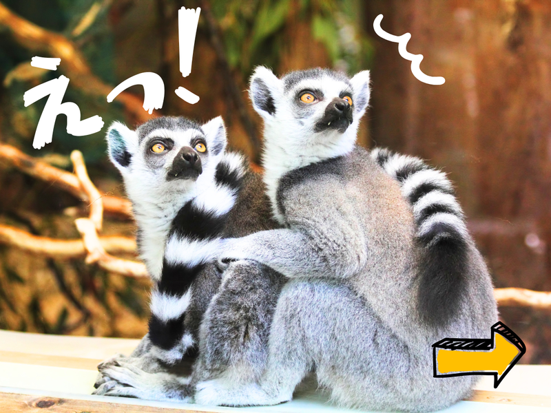 社会福祉法人平徳会