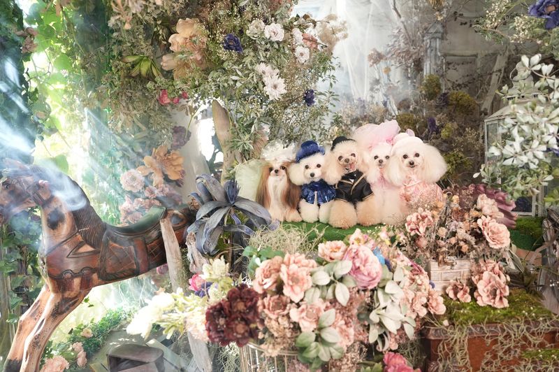 株式会社杏栄の求人・転職情報