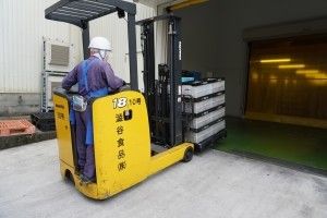澁谷食品株式会社の求人・転職情報