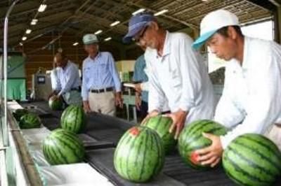 石川かほく農業協同組合　分店のアルバイト・バイト求人情報-03