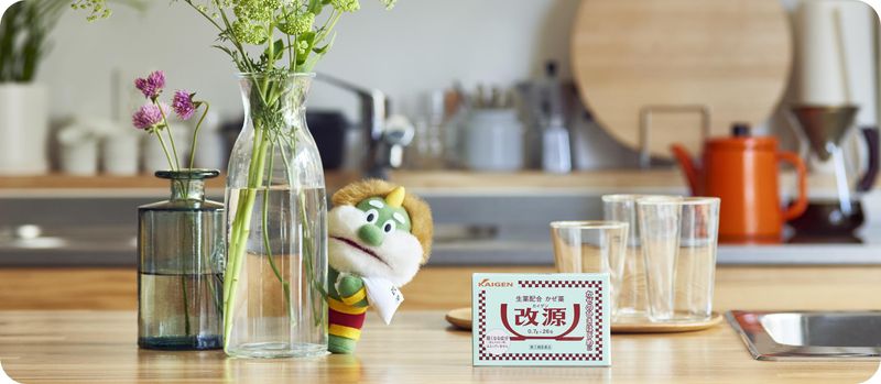 カイゲンファーマ株式会社の求人・転職情報