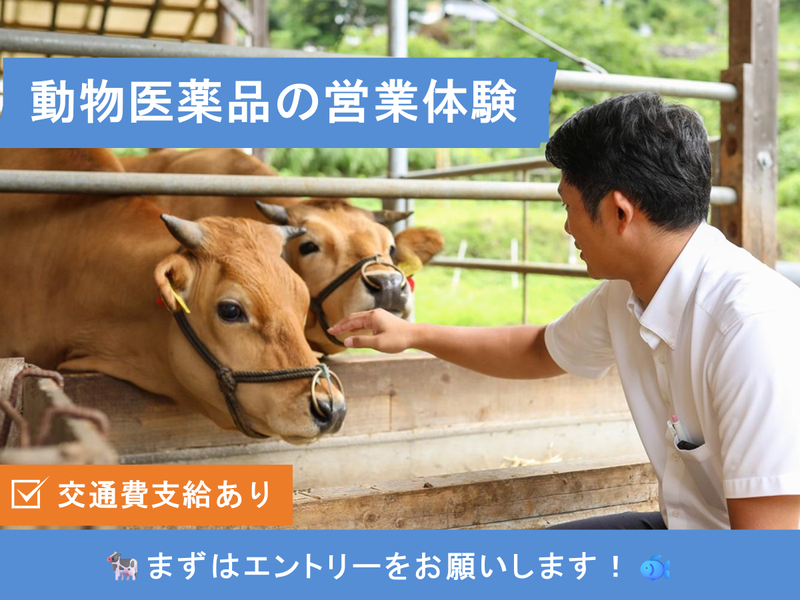 松田医薬品株式会社