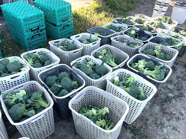 株式会社大濱屋のアルバイト・バイト求人情報-02