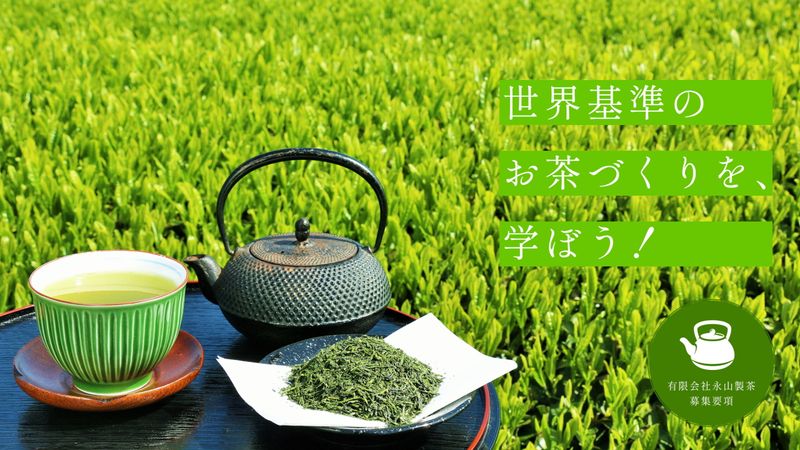 有限会社永山製茶の求人・転職情報