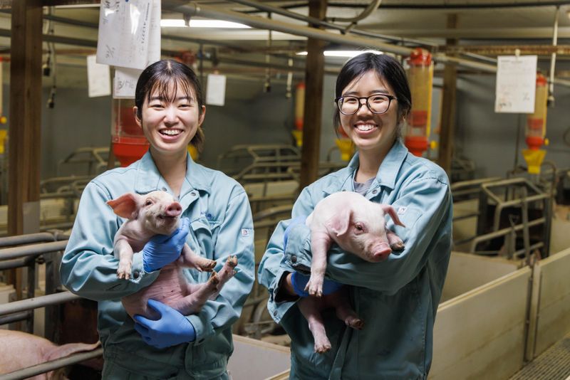 株式会社大里畜産