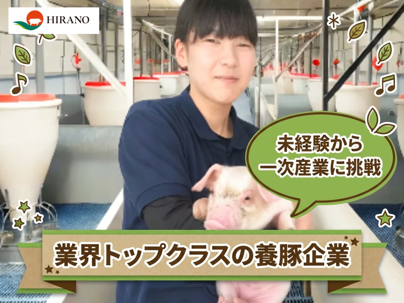 株式会社　ヒラノの求人・転職情報