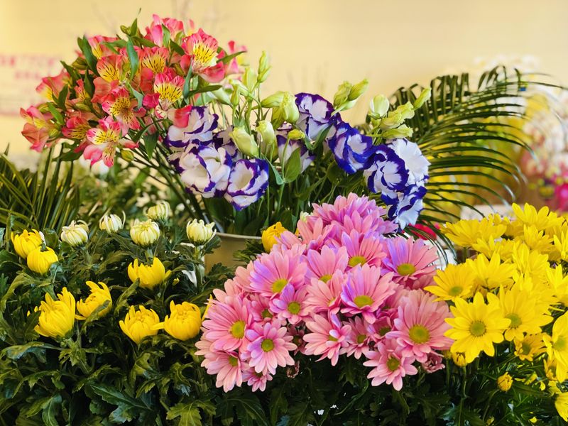 花屋藤松　吉岡店の派遣求人情報