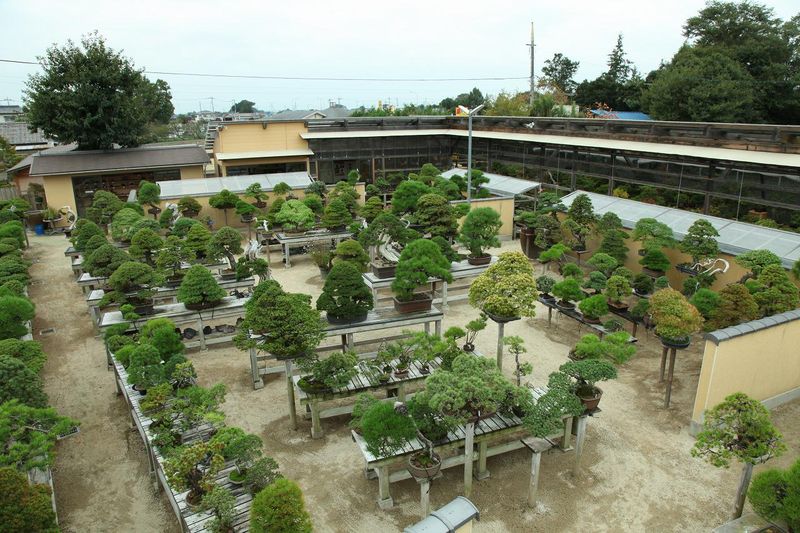 株式会社エスキューブの求人・転職情報-02