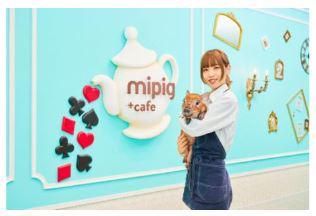 mipig cafe　横浜中華街店(株式会社Hooome)のアルバイト・バイト求人情報-04