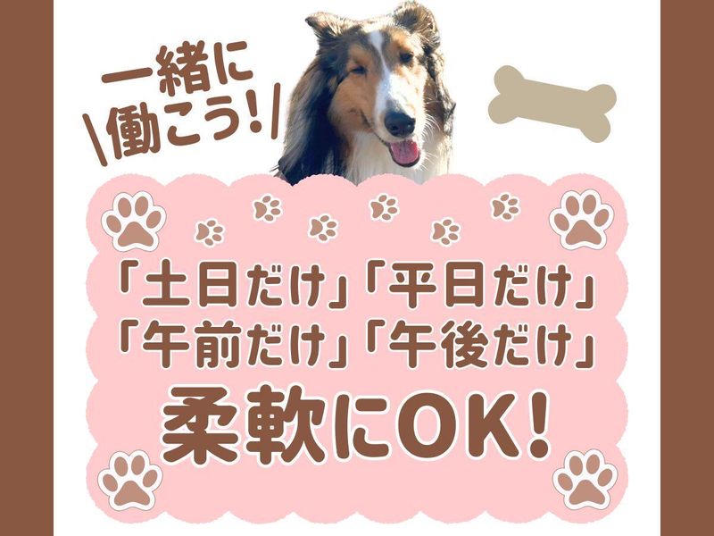 株式会社スペック・エスの求人・転職情報