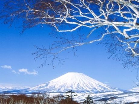 株式会社ヒューマニックのアルバイト・バイト求人情報-02