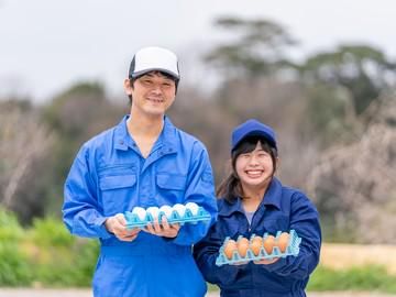 株式会社デイリーファーム　GPセンターのアルバイト・バイト求人情報-02