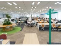 株式会社クロスキャット