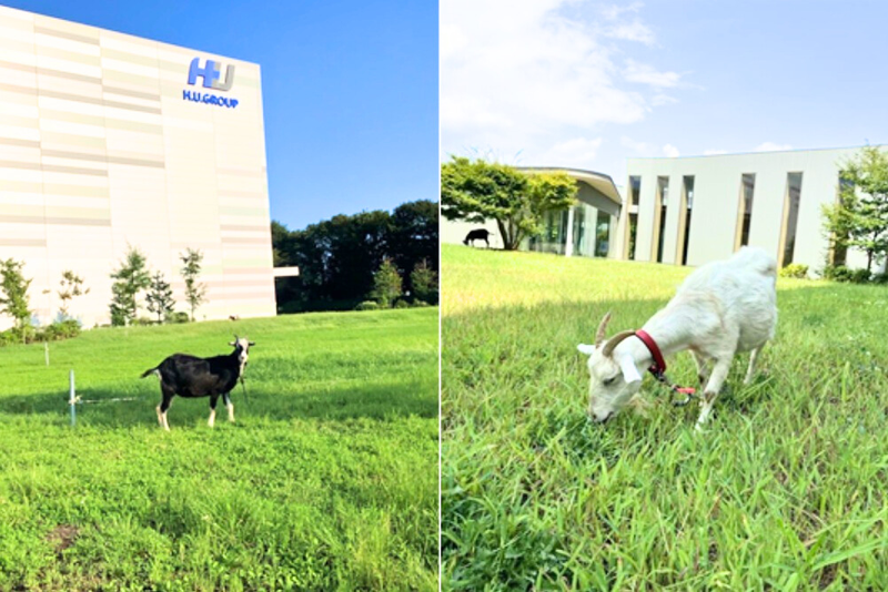 株式会社エスアールエルの派遣求人情報