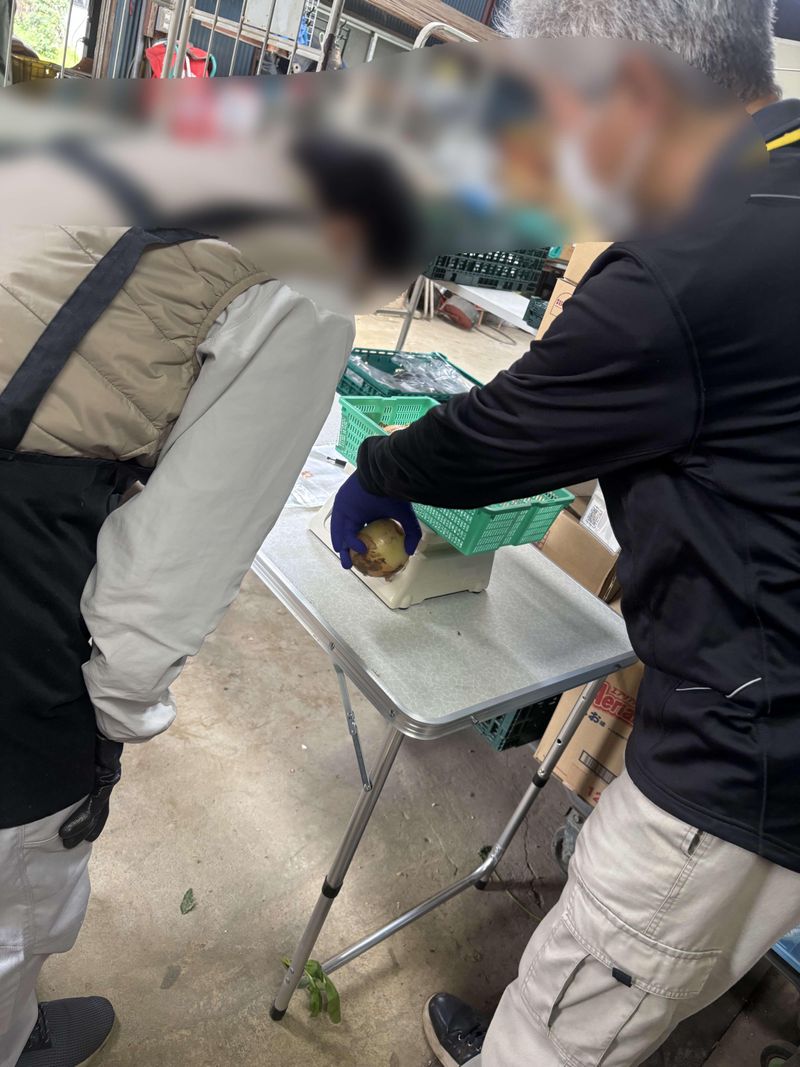 株式会社千真の求人・転職情報