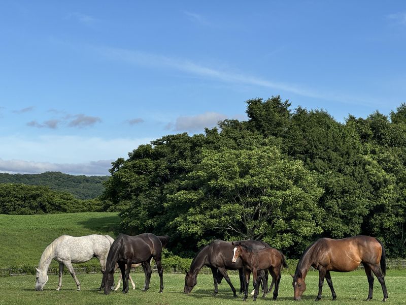 株式会社ハクレイファームの求人・転職情報